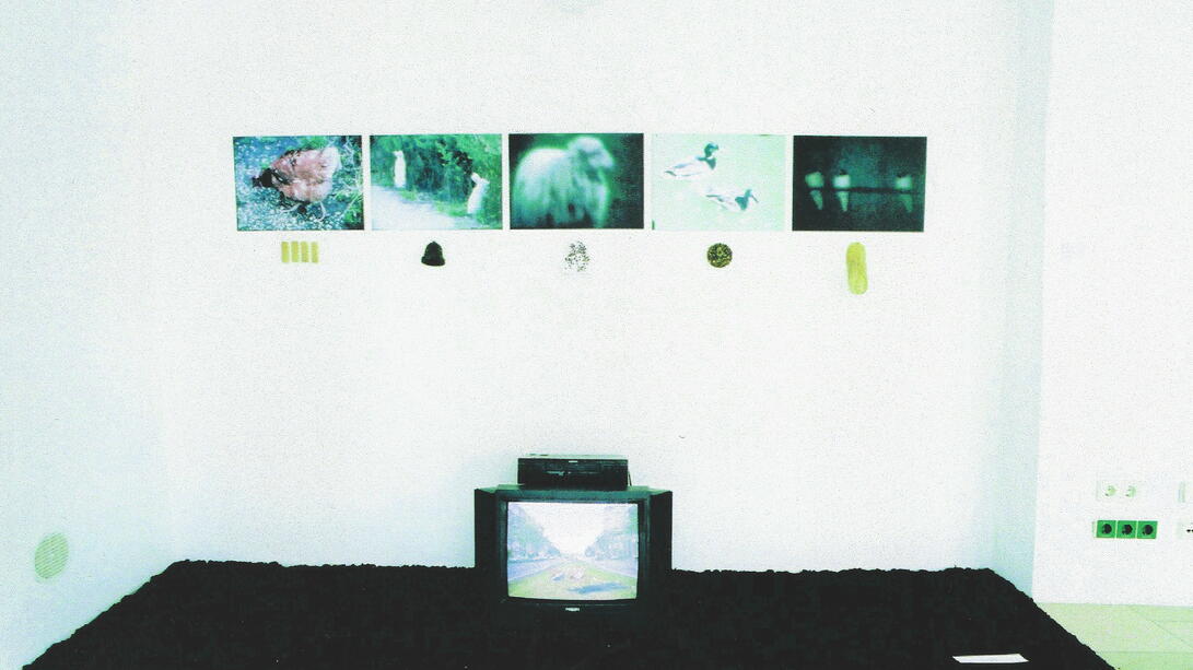 Installation 