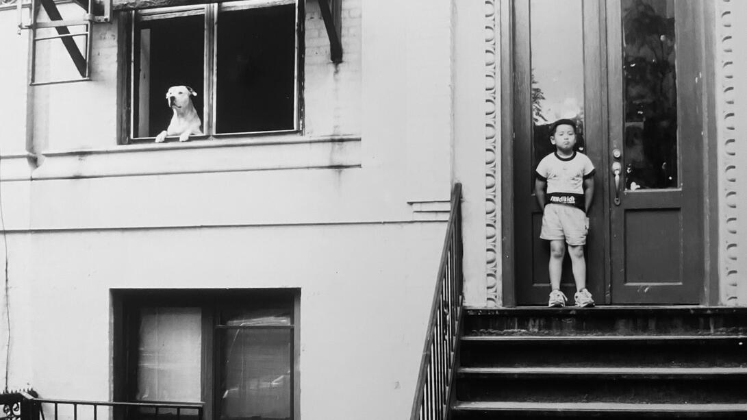 Junge mit Hund Street