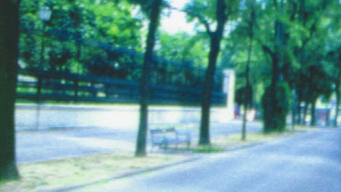 Wien Ring